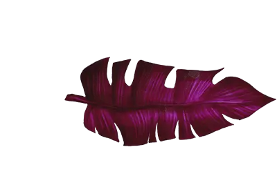 leaf - visual element