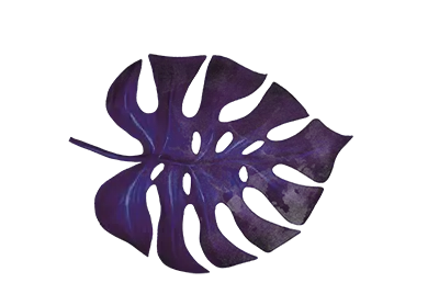 leaf - visual element