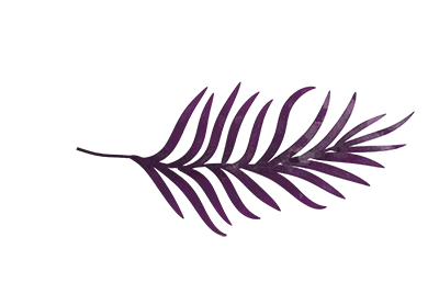 leaf - visual element